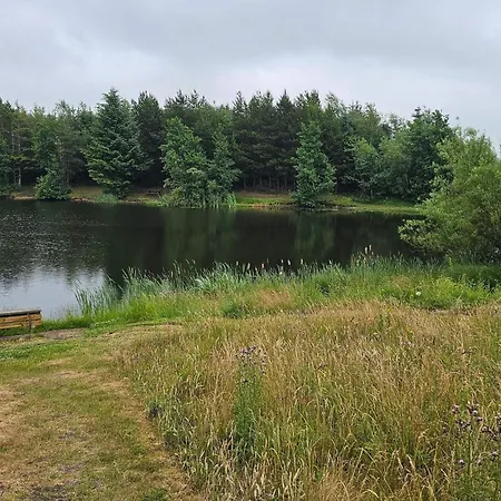 5 Star In * Ringkøbing