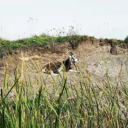 6 Person In Casa de Férias
