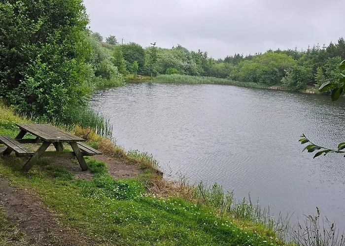 6 Person In Holiday home Ringkobing