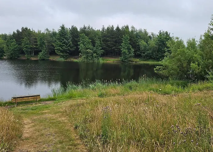 6 Person In * Ringkobing