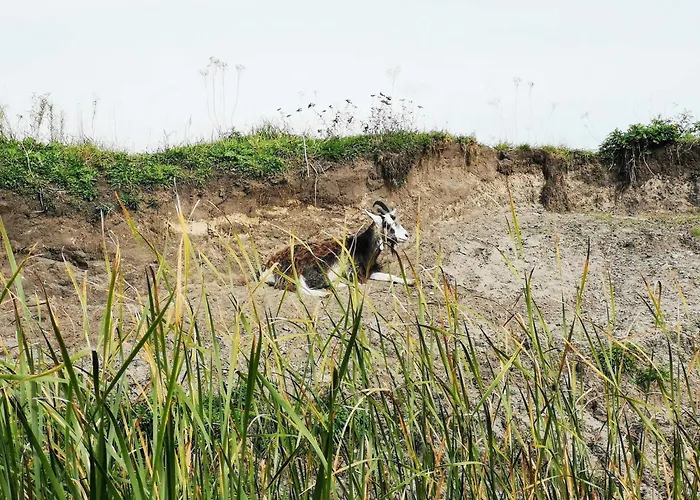 6 Person In Holiday home